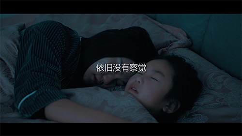 手機(jī)門鎖關(guān)鍵時(shí)刻保平安 德犬帶給你向往的安全生活！