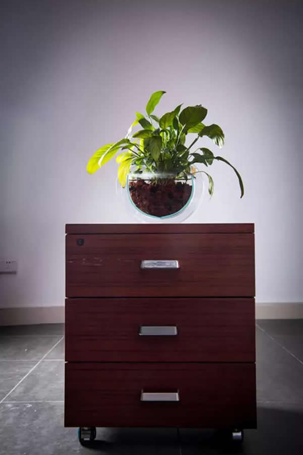 山寨橫行，堅持“原創”的雅麗斯有錯嗎？