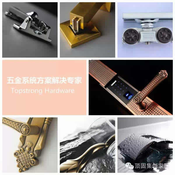 頂固中南戰略合作，強強聯合共創輝煌