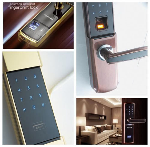 頂固五金榮獲“年度十大智能鎖品牌”稱號