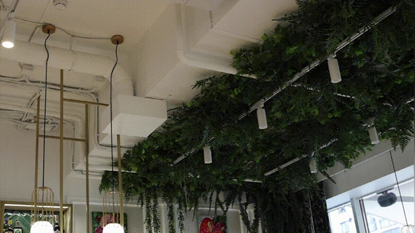 河?xùn)|智能家居：這是一封來自白俄羅斯的郵件