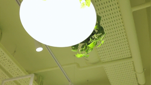 河?xùn)|智能家居：這是一封來自白俄羅斯的郵件