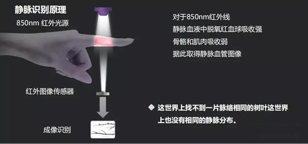 東屋·世安：靜脈識別技術會是下一個智能鎖爆點嗎？