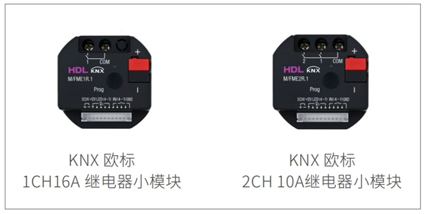 河東科技新品發布 | 驚喜可不止一個