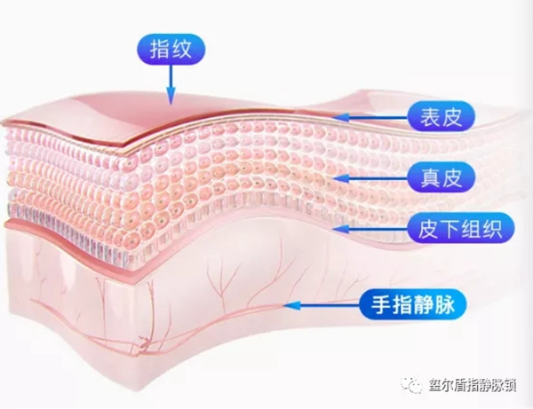 璽爾盾指靜脈鎖告訴您給老年人購(gòu)買智能鎖需要注意什么