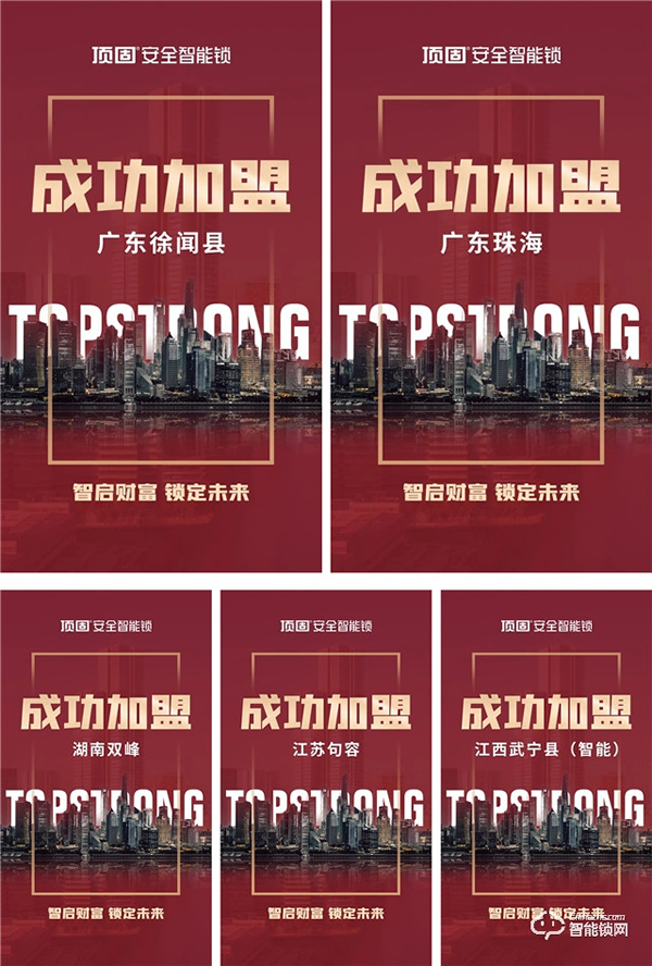 頂固8月精彩薈萃 | 行穩致遠，聚勢共贏！