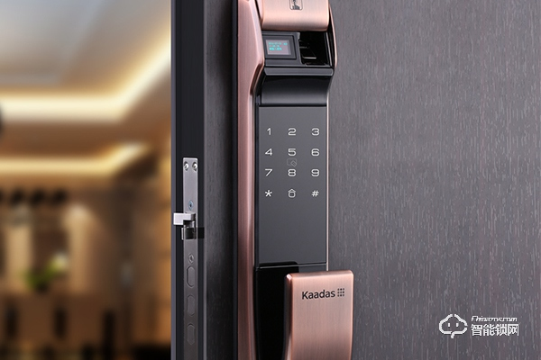 凱迪仕和德施曼哪個(gè)好