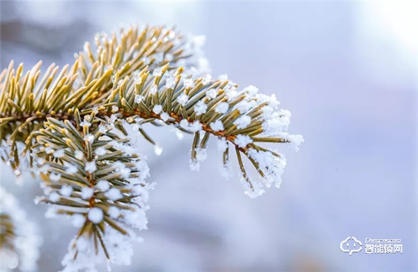 一到冬天，你家智能鎖就識別不靈敏？解決方法在這里！