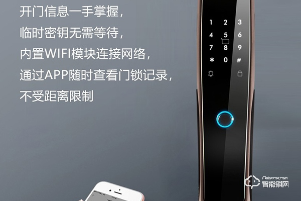 安居邦智能鎖是十大品牌嗎