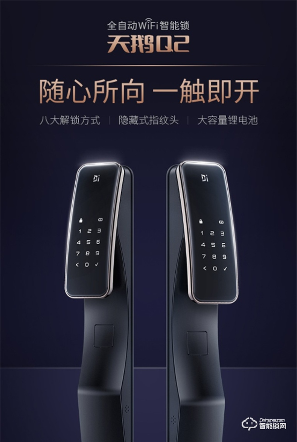 智能門鎖哪個品牌好？德施曼全自動智能鎖天鵝Q2怎么樣？深入測評
