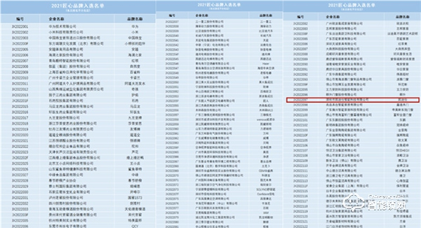 智能鎖行業(yè)唯一入選品牌！Kaadas凱迪仕勇奪2021“匠心品牌”稱號！