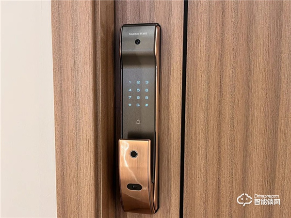 凱迪仕智能鎖擁有專屬“千里眼”，有了它，24h家門安全隨時看得見~