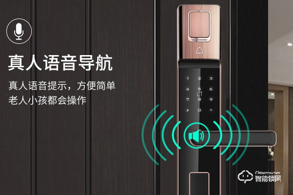 ?？低暭用速M多少錢