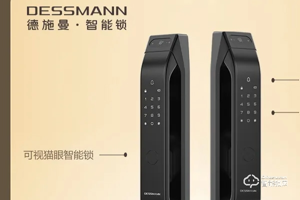 德施曼智能鎖排名第幾 德施曼智能鎖排名第幾