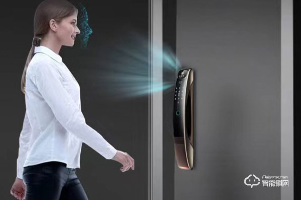 麗水德施曼智能鎖加盟代理