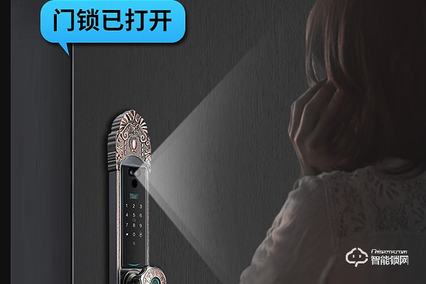 智能鎖加盟利潤有多大 智能鎖加盟利潤有多大