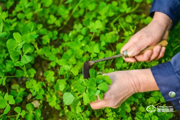超常鎖業 | 疫情反復,提升家庭安全,方便你我生活 超常鎖業 | 疫情反復,提升家庭安全,方便你我生活