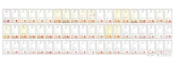 喜報丨王力安防榮獲2022年度公安部科學技術獎三等獎 為保衛家國安全貢獻力量