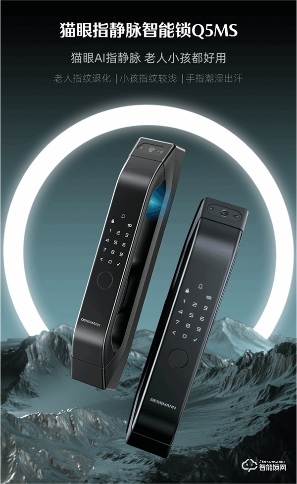 德施曼智能鎖|智能鎖購買攻略來嘍 ~ 雙十一預售第一波,課代表搶先劇透! 德施曼智能鎖|智能鎖購買攻略來嘍 ~ 雙十一預售第一波,課代表搶先劇透!