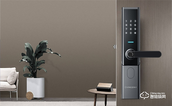 揚子智能鎖｜學到就是賺到！這樣選智能鎖才能一步到位~