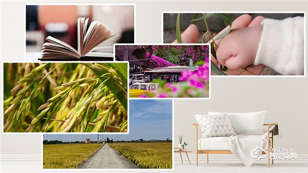 Gleewell格里維爾｜你發(fā)現(xiàn)了嗎？所有治愈的美好，都藏在生活的細節(jié)里