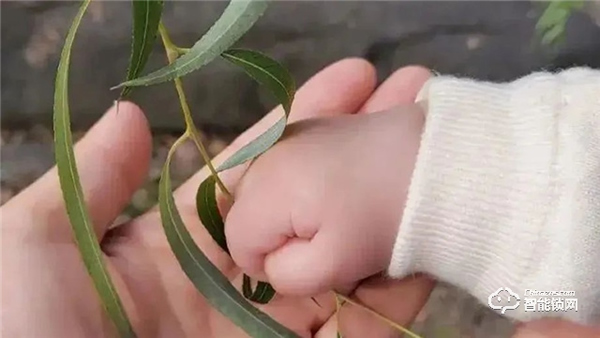 Gleewell格里維爾｜你發(fā)現(xiàn)了嗎？所有治愈的美好，都藏在生活的細節(jié)里