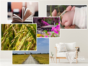 Gleewell格里維爾｜你發(fā)現(xiàn)了嗎？所有治愈的美好，都藏在生活的細節(jié)里