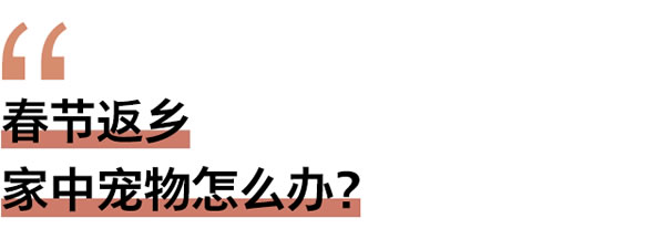 春節返鄉家門安全誰來顧？這題交給飛利浦智能鎖