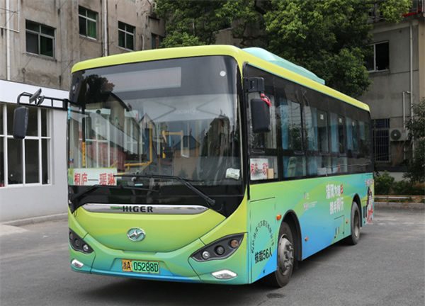 亞運會世界首創“數控草坪”火出圈，蘇州擁有同款黑科技！