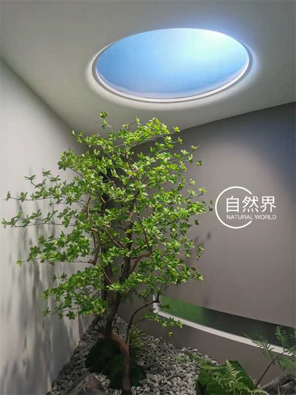 自然界太陽(yáng)燈：點(diǎn)亮你的廚房與衛(wèi)生間，模擬日升日落的奇妙之旅