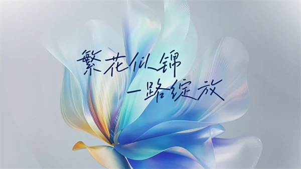 《綻放》2024想天新品發布會圓滿成功!