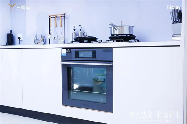海爾廚電:中國首個超千萬臺的品牌 海爾廚電:中國首個超千萬臺的品牌