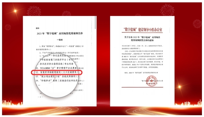 1.6萬盞，40余主次干道 | 順舟智能點(diǎn)亮“大豐區(qū)”綠色照明