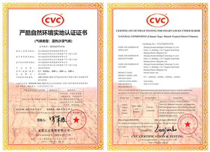 權(quán)威認(rèn)證!德施曼智能鎖斬獲迪拜極端環(huán)境認(rèn)證