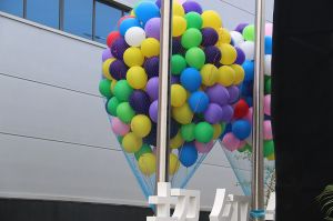 2018三峰木門(mén)二十周年